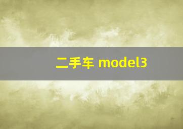 二手车 model3